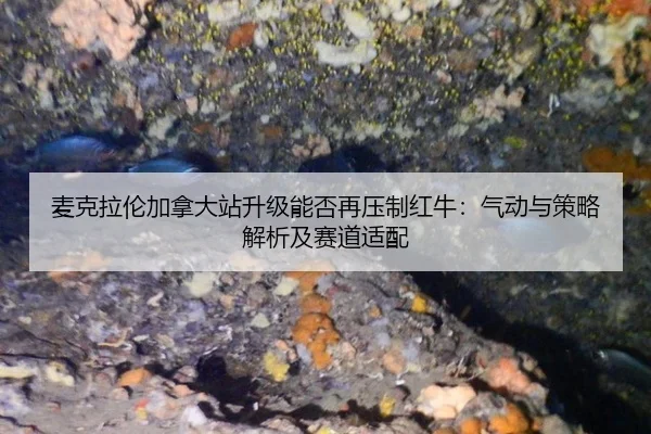 麦克拉伦加拿大站升级能否再压制红牛：气动与策略解析及赛道适配